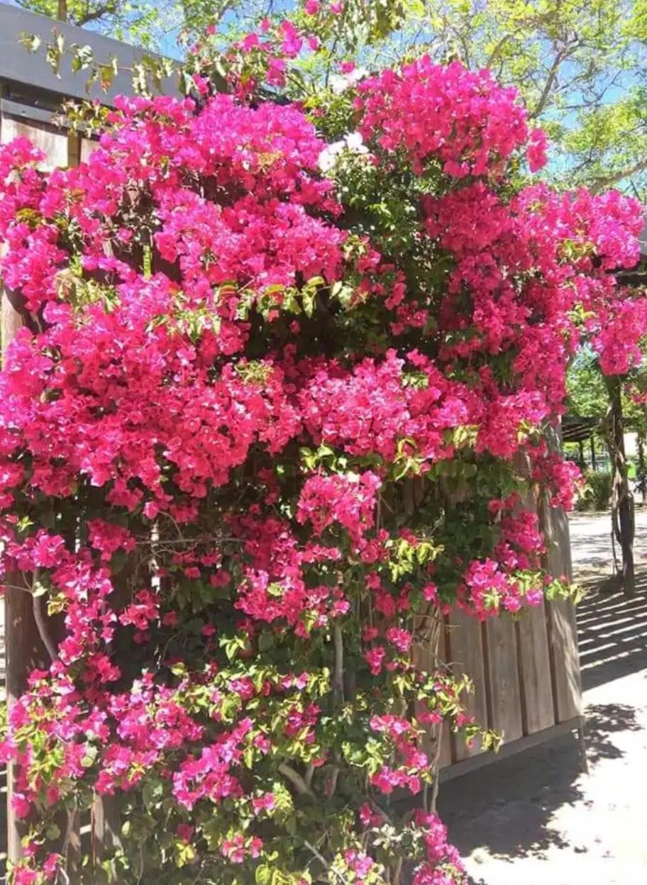 Apartamento De 3 Dormitorios Cambrils Zewnętrze zdjęcie